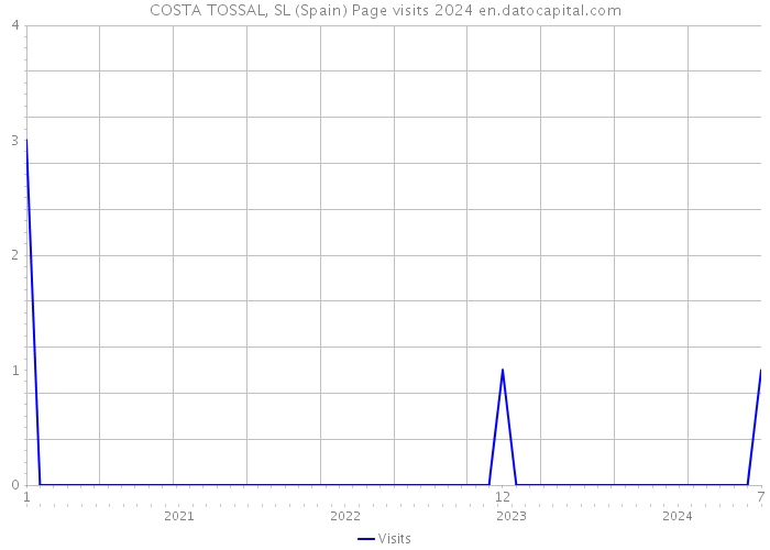 COSTA TOSSAL, SL (Spain) Page visits 2024 