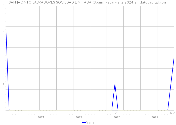 SAN JACINTO LABRADORES SOCIEDAD LIMITADA (Spain) Page visits 2024 