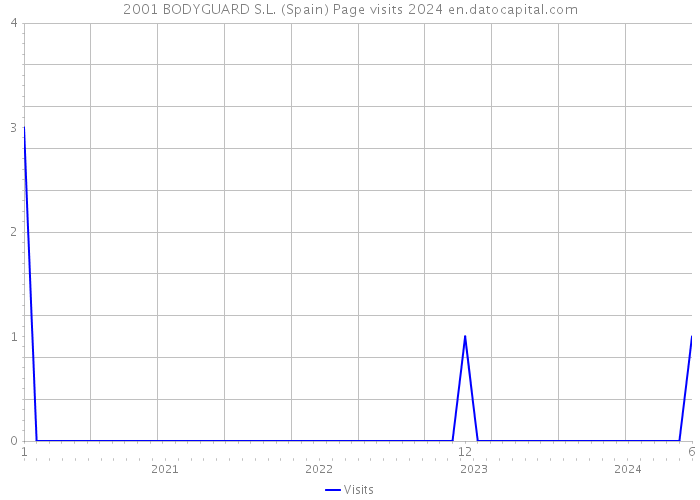 2001 BODYGUARD S.L. (Spain) Page visits 2024 