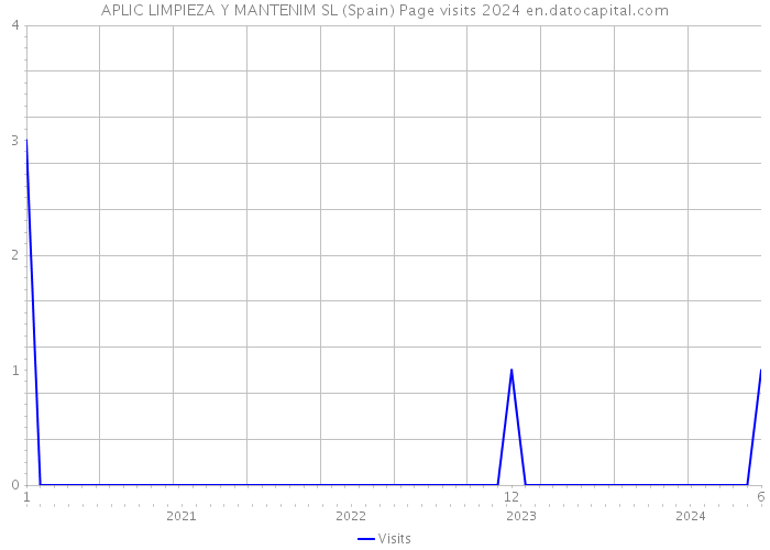 APLIC LIMPIEZA Y MANTENIM SL (Spain) Page visits 2024 