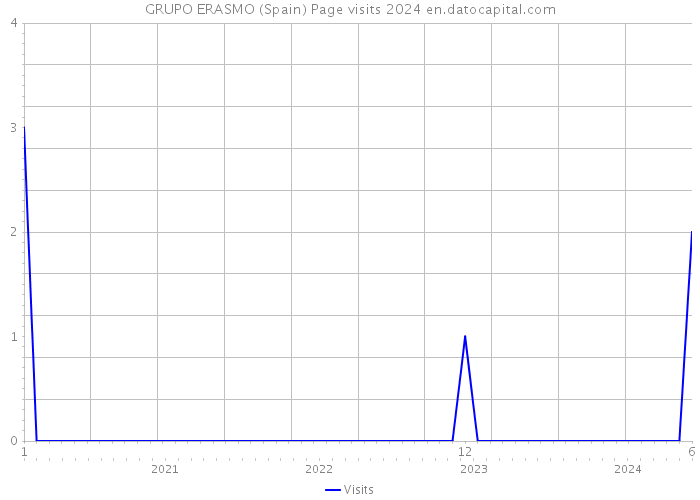 GRUPO ERASMO (Spain) Page visits 2024 