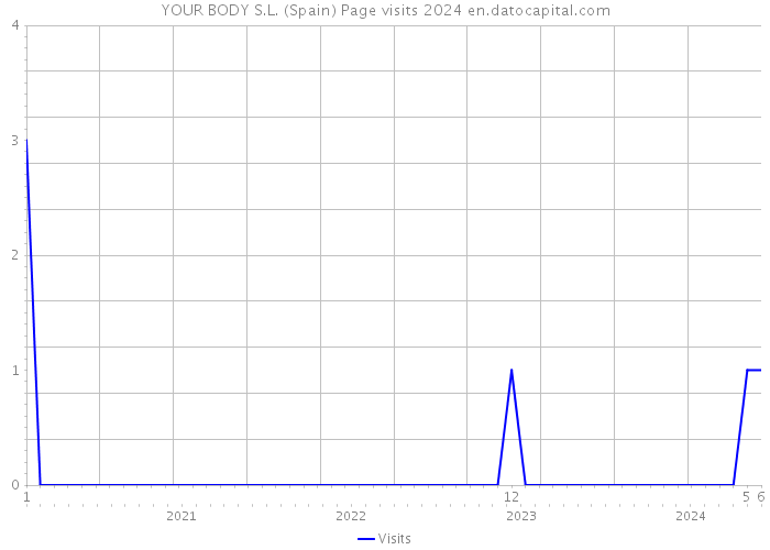 YOUR BODY S.L. (Spain) Page visits 2024 