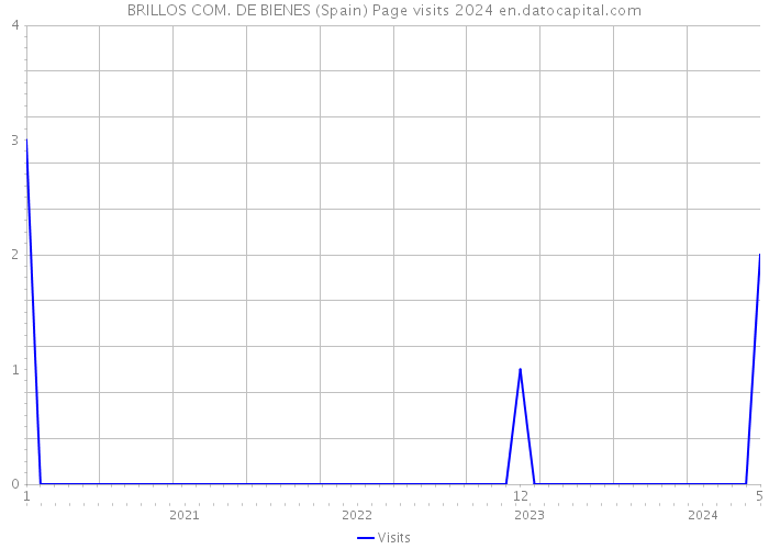 BRILLOS COM. DE BIENES (Spain) Page visits 2024 