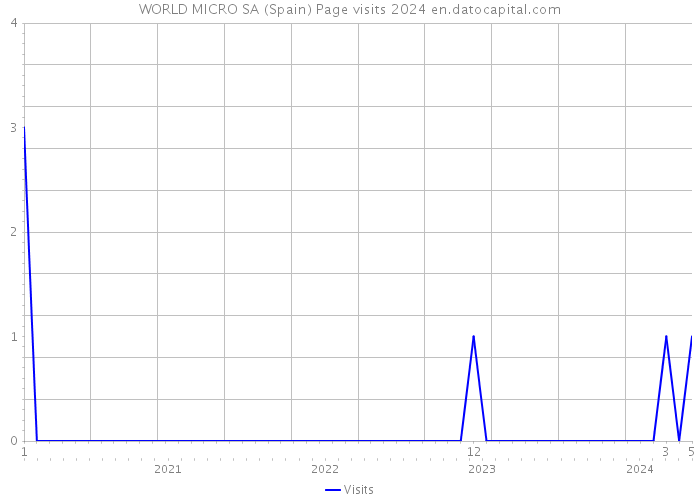 WORLD MICRO SA (Spain) Page visits 2024 