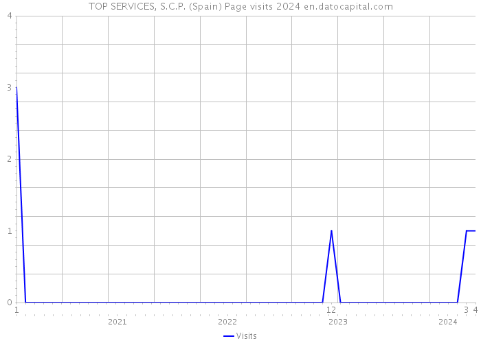 TOP SERVICES, S.C.P. (Spain) Page visits 2024 