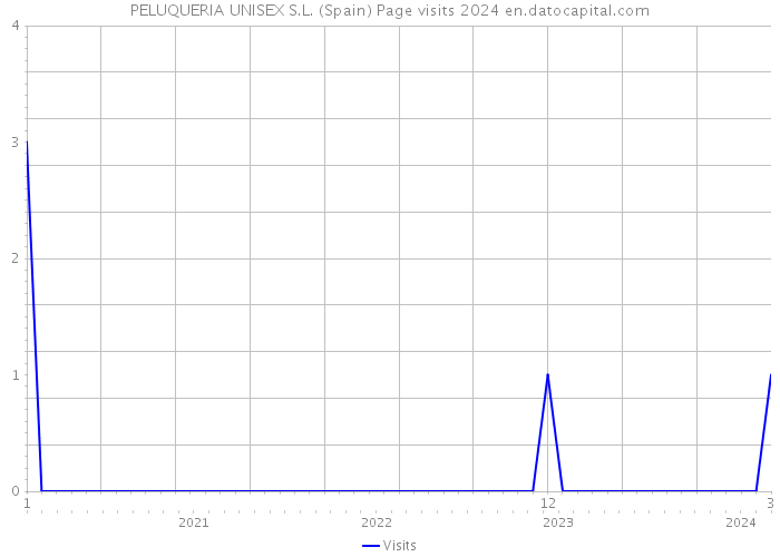 PELUQUERIA UNISEX S.L. (Spain) Page visits 2024 