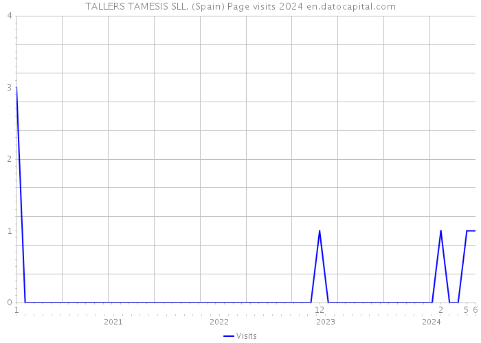 TALLERS TAMESIS SLL. (Spain) Page visits 2024 