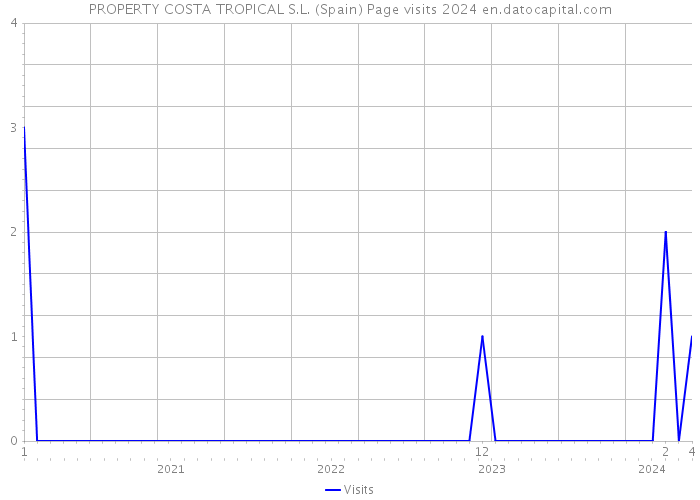 PROPERTY COSTA TROPICAL S.L. (Spain) Page visits 2024 