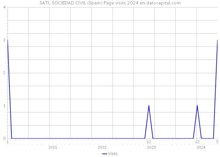 SATI, SOCIEDAD CIVIL (Spain) Page visits 2024 