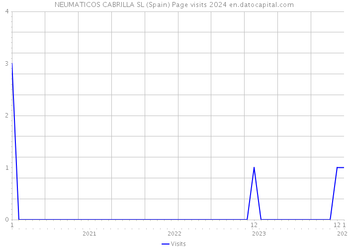 NEUMATICOS CABRILLA SL (Spain) Page visits 2024 