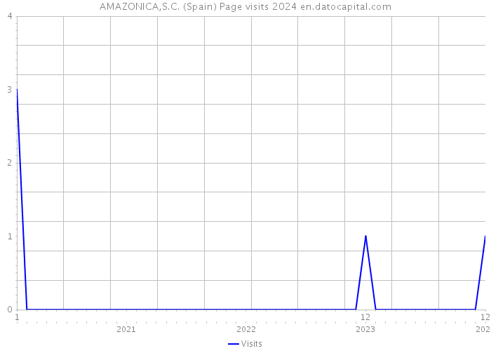 AMAZONICA,S.C. (Spain) Page visits 2024 