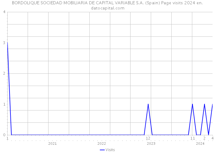 BORDOLIQUE SOCIEDAD MOBILIARIA DE CAPITAL VARIABLE S.A. (Spain) Page visits 2024 