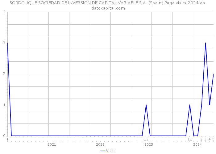 BORDOLIQUE SOCIEDAD DE INVERSION DE CAPITAL VARIABLE S.A. (Spain) Page visits 2024 