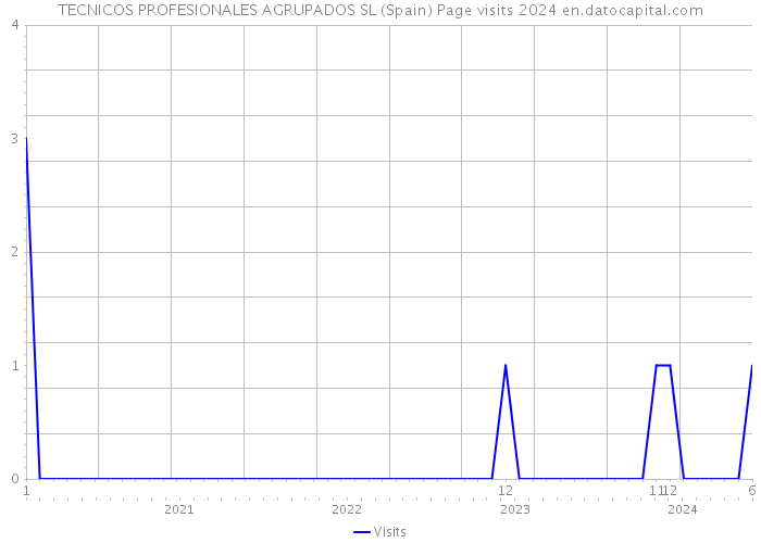 TECNICOS PROFESIONALES AGRUPADOS SL (Spain) Page visits 2024 