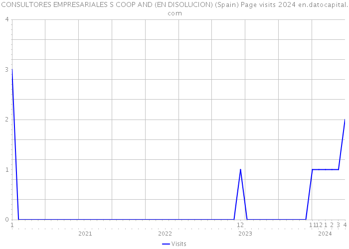 CONSULTORES EMPRESARIALES S COOP AND (EN DISOLUCION) (Spain) Page visits 2024 