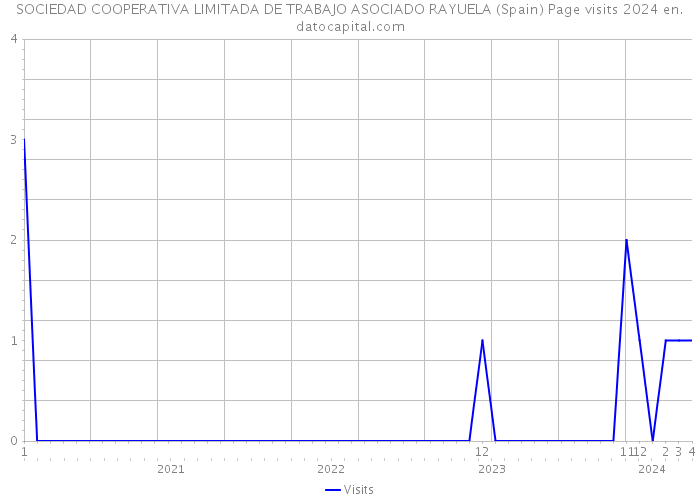 SOCIEDAD COOPERATIVA LIMITADA DE TRABAJO ASOCIADO RAYUELA (Spain) Page visits 2024 