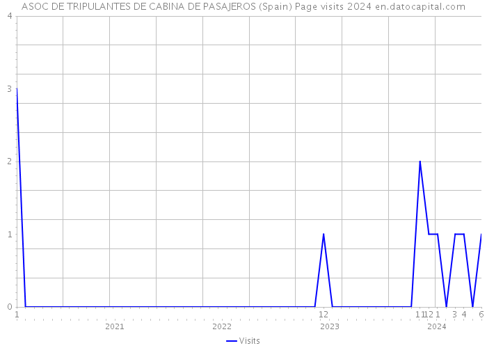 ASOC DE TRIPULANTES DE CABINA DE PASAJEROS (Spain) Page visits 2024 