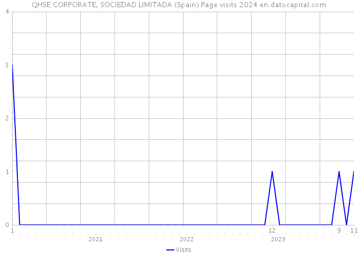 QHSE CORPORATE, SOCIEDAD LIMITADA (Spain) Page visits 2024 