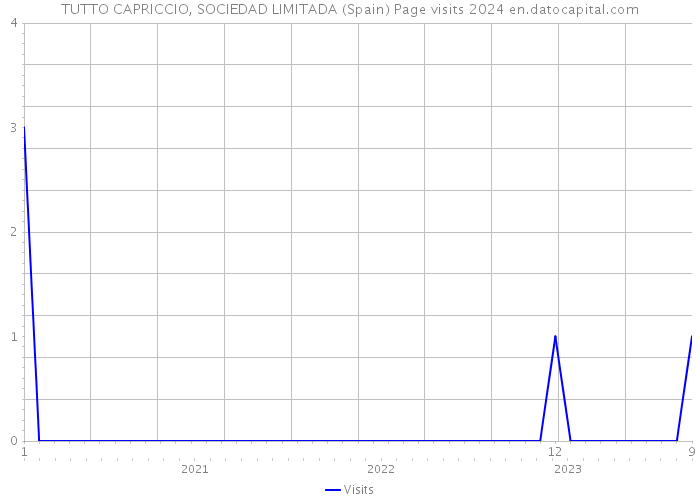 TUTTO CAPRICCIO, SOCIEDAD LIMITADA (Spain) Page visits 2024 