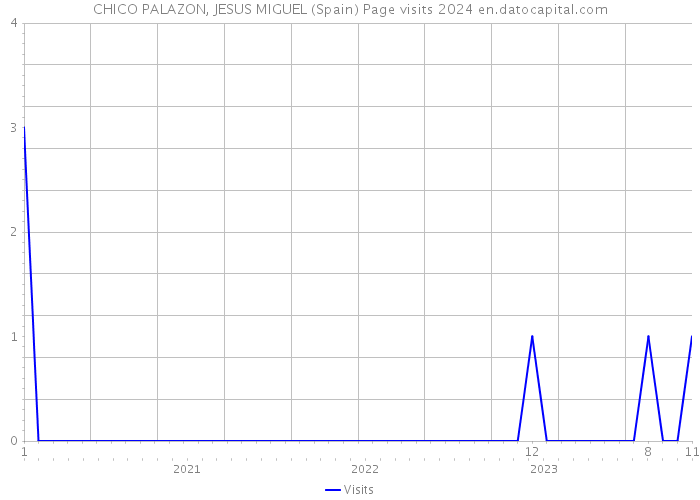 CHICO PALAZON, JESUS MIGUEL (Spain) Page visits 2024 