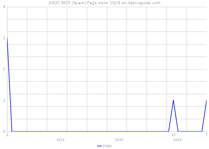 ASOC M25 (Spain) Page visits 2024 