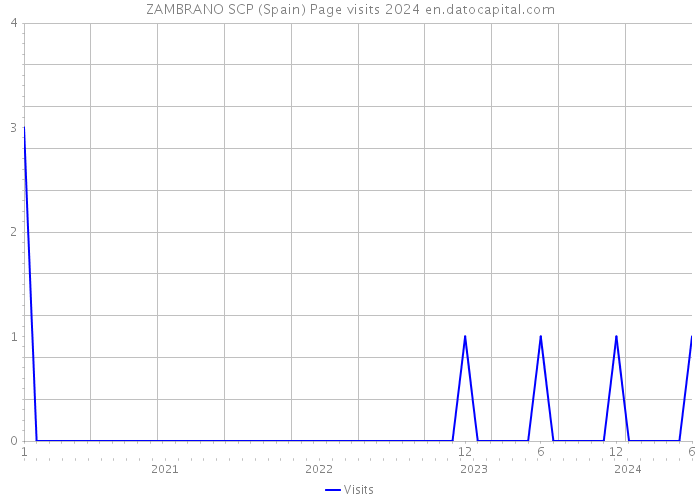 ZAMBRANO SCP (Spain) Page visits 2024 