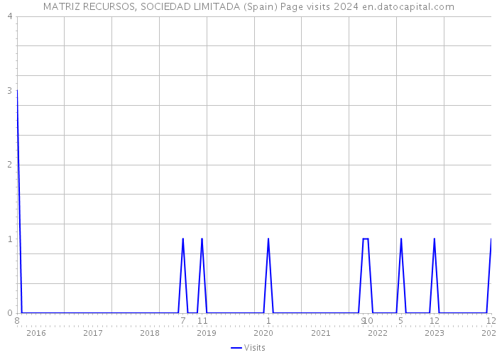 MATRIZ RECURSOS, SOCIEDAD LIMITADA (Spain) Page visits 2024 