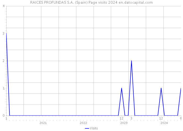 RAICES PROFUNDAS S.A. (Spain) Page visits 2024 
