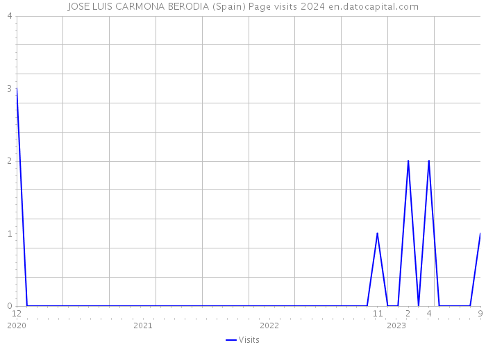 JOSE LUIS CARMONA BERODIA (Spain) Page visits 2024 