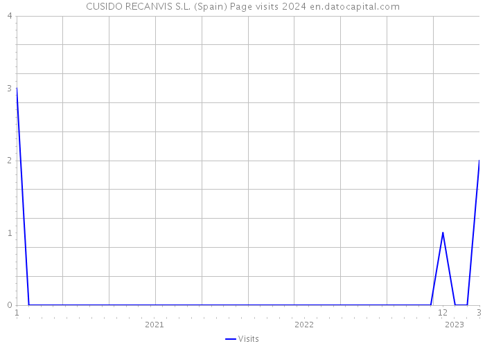 CUSIDO RECANVIS S.L. (Spain) Page visits 2024 