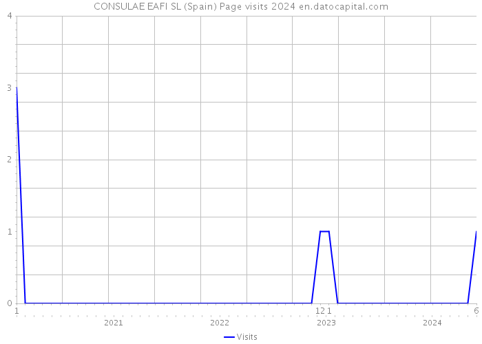 CONSULAE EAFI SL (Spain) Page visits 2024 