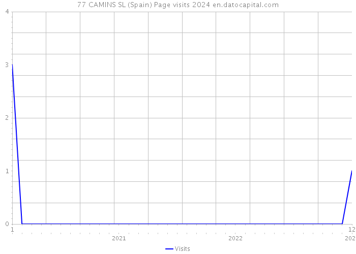 77 CAMINS SL (Spain) Page visits 2024 