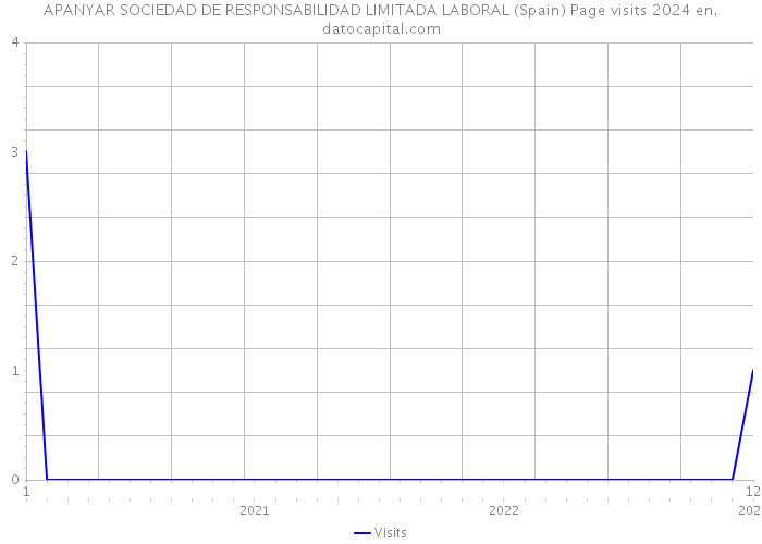 APANYAR SOCIEDAD DE RESPONSABILIDAD LIMITADA LABORAL (Spain) Page visits 2024 