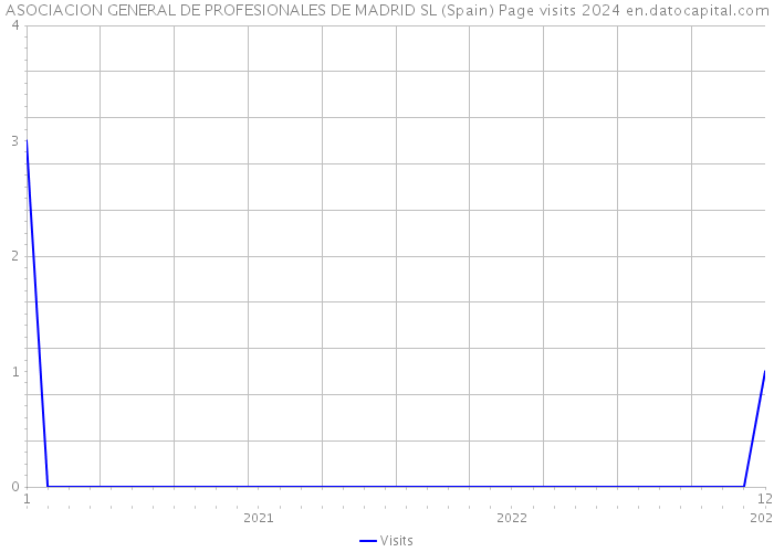 ASOCIACION GENERAL DE PROFESIONALES DE MADRID SL (Spain) Page visits 2024 