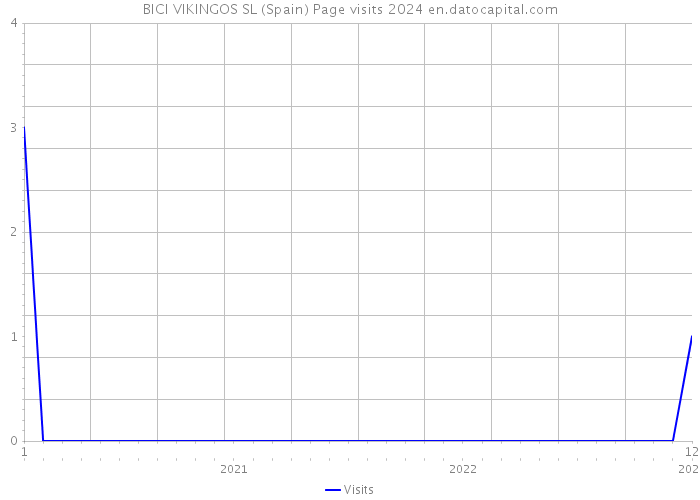 BICI VIKINGOS SL (Spain) Page visits 2024 