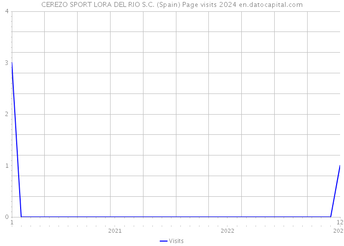 CEREZO SPORT LORA DEL RIO S.C. (Spain) Page visits 2024 