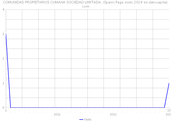 COMUNIDAD PROPIETARIOS CUMANA SOCIEDAD LIMITADA. (Spain) Page visits 2024 