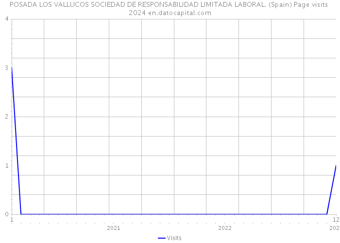 POSADA LOS VALLUCOS SOCIEDAD DE RESPONSABILIDAD LIMITADA LABORAL. (Spain) Page visits 2024 
