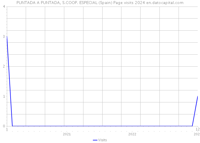 PUNTADA A PUNTADA, S.COOP. ESPECIAL (Spain) Page visits 2024 