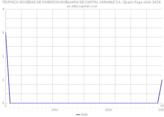 TEXFINCO SOCIEDAD DE INVERSION MOBILIARIA DE CAPITAL VARIABLE S.A. (Spain) Page visits 2024 