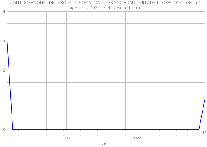 UNION PROFESIONAL DE LABORATORIOS ANDALUCES SOCIEDAD LIMITADA PROFESIONAL (Spain) Page visits 2024 