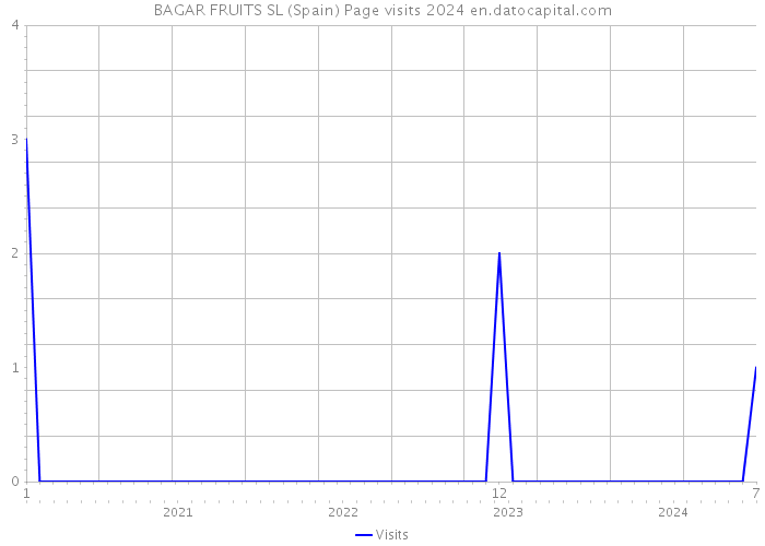 BAGAR FRUITS SL (Spain) Page visits 2024 