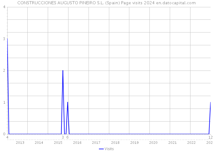 CONSTRUCCIONES AUGUSTO PINEIRO S.L. (Spain) Page visits 2024 