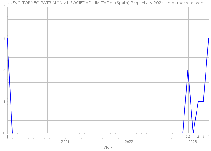 NUEVO TORNEO PATRIMONIAL SOCIEDAD LIMITADA. (Spain) Page visits 2024 