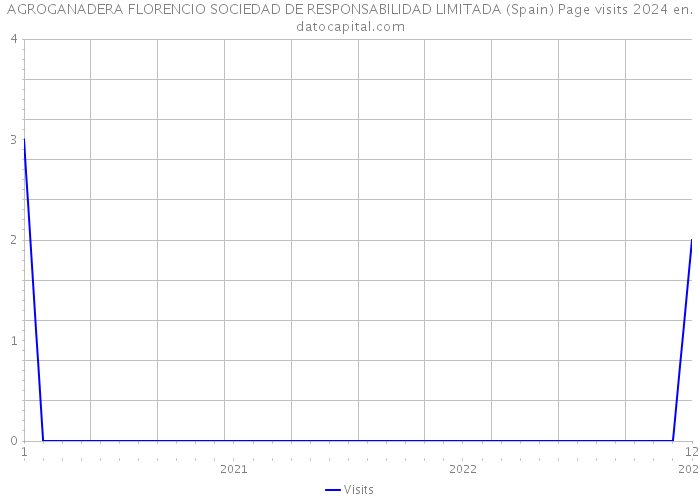 AGROGANADERA FLORENCIO SOCIEDAD DE RESPONSABILIDAD LIMITADA (Spain) Page visits 2024 
