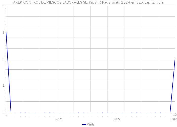 AKER CONTROL DE RIESGOS LABORALES SL. (Spain) Page visits 2024 