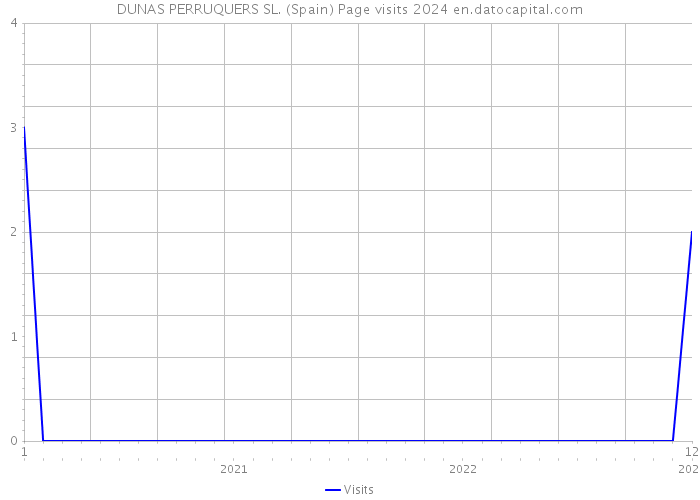 DUNAS PERRUQUERS SL. (Spain) Page visits 2024 