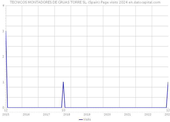 TECNICOS MONTADORES DE GRUAS TORRE SL. (Spain) Page visits 2024 