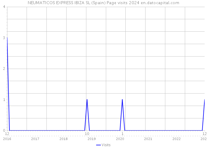 NEUMATICOS EXPRESS IBIZA SL (Spain) Page visits 2024 