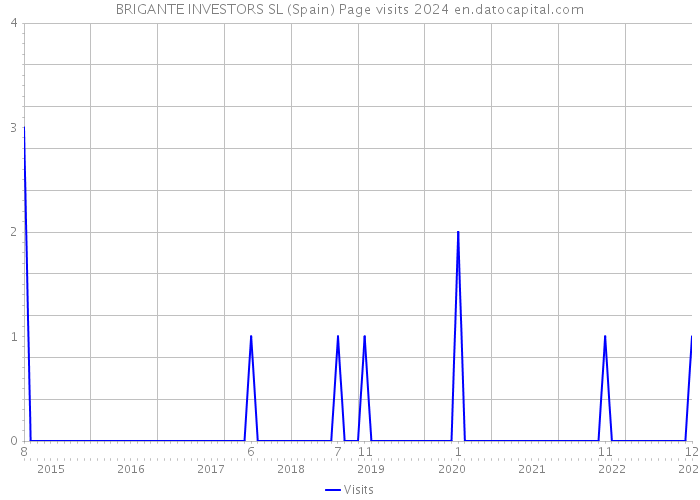 BRIGANTE INVESTORS SL (Spain) Page visits 2024 